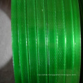 Made in China Green Polyester (PET) Strapping